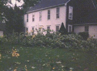 damage